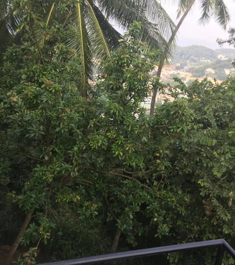 Upland Inn Kandy